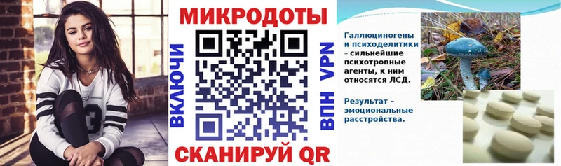 Купить  Михайлов  Псилоцибиновые грибы Psilocybine cubensis 