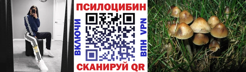 Галлюциногенные грибы мухоморы Михайлов